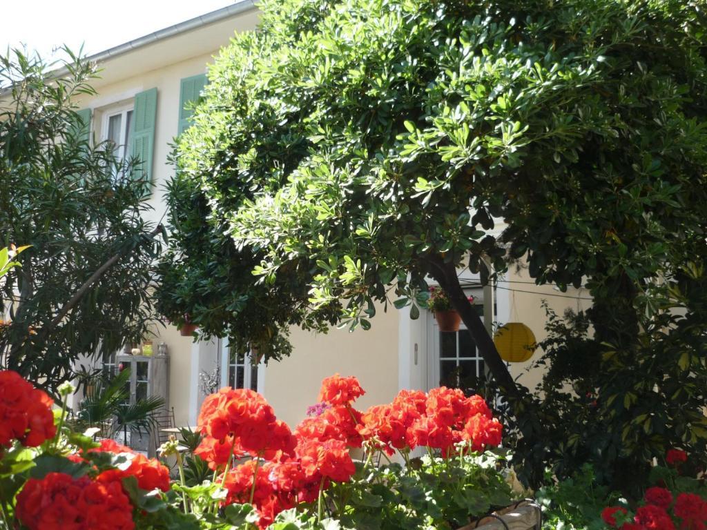 Logis Hotel Villa Victorine Nicea Zewnętrze zdjęcie
